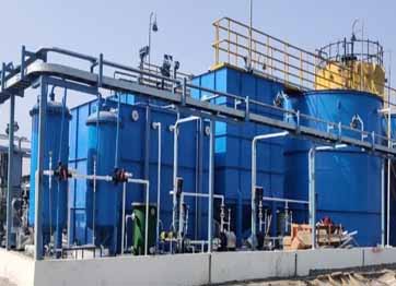 etp plants